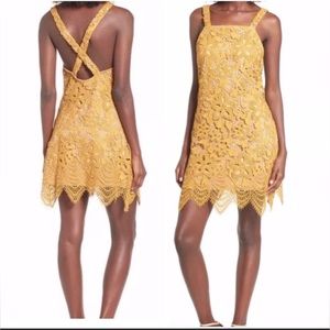 WAYF Orleans lace gold mini dress